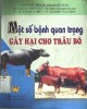 Ebook Một số bệnh quan trọng gây hại cho trâu bò (Tái bản lần 1): Phần 2