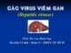 Bài giảng Vi sinh: Các virus viêm gan - PGS.TS. Cao Minh Nga