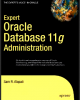 Ebook Expert oracle database 11g administration